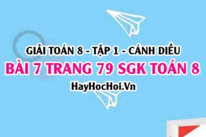 Giải bài 7 trang 79 Toán 8 Tập 1 SGK Cánh Diều